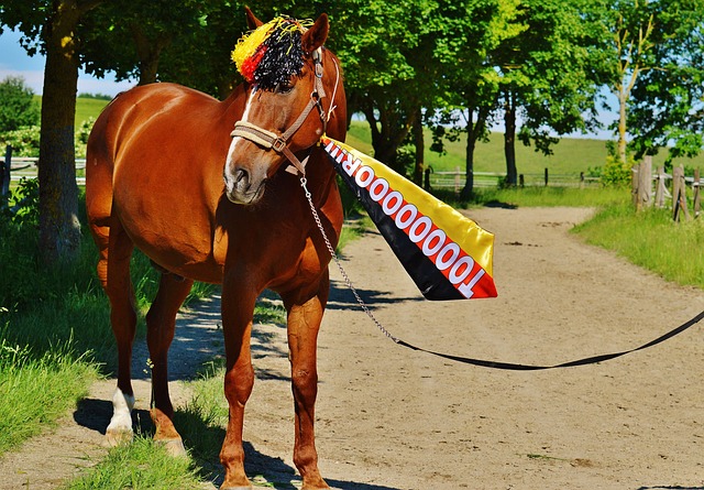 欣体育场 欣体育场