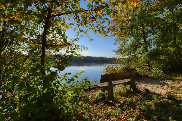 前悉尼马拉松冠军药检阳了 基普科里尔暂被禁赛.