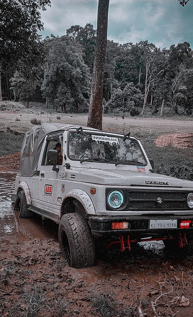 因为她已经 因为她已经