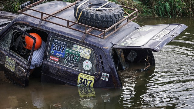 上海的单一 上海的单一