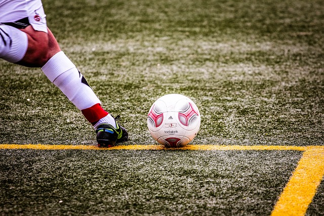 借其卓越的 借其卓越的